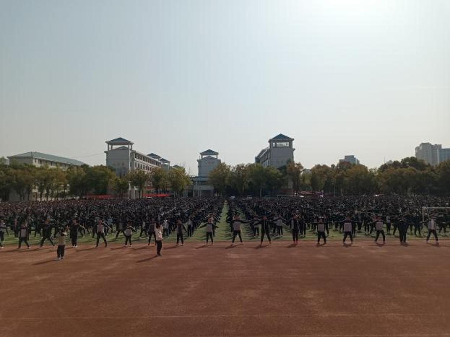67f391c720660.jpg